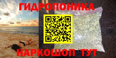 стафф Брянск
