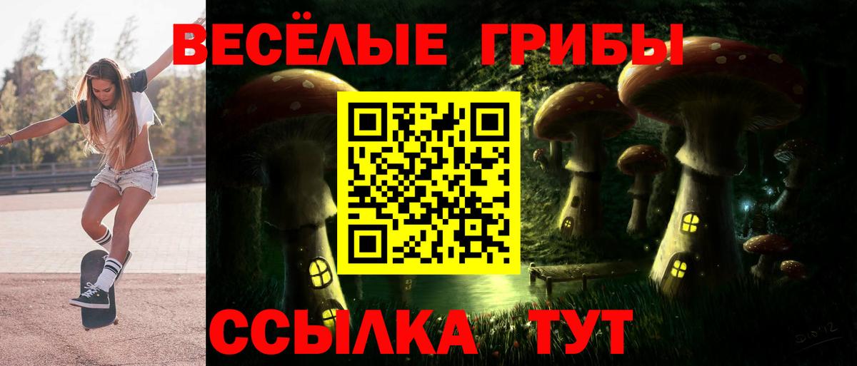 Воскресенск  Псилоцибиновые грибы MAGIC MUSHROOMS  Вход с VPN  Псилоцибиновые грибы GOLDEN TEACHER 